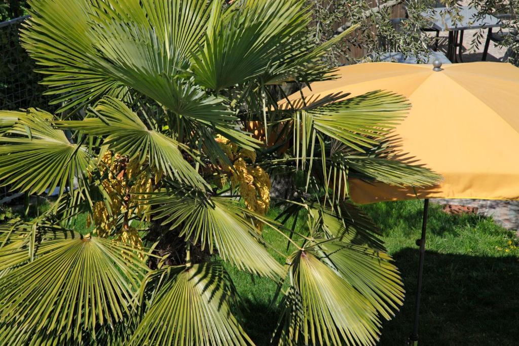 Hotel Jardis (Adults Only) Лана Екстериор снимка